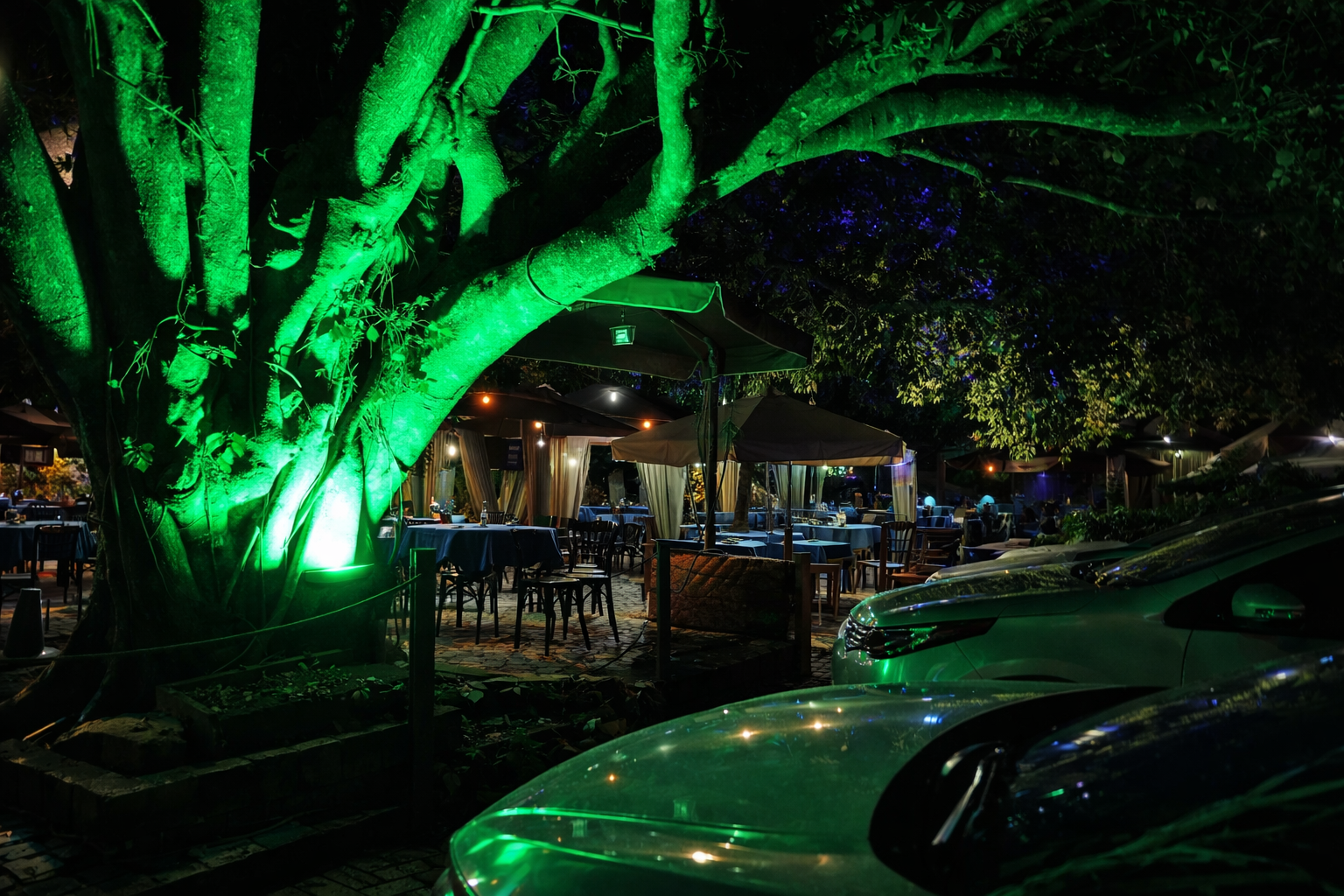 Vista noturna com iluminação verde nas árvores