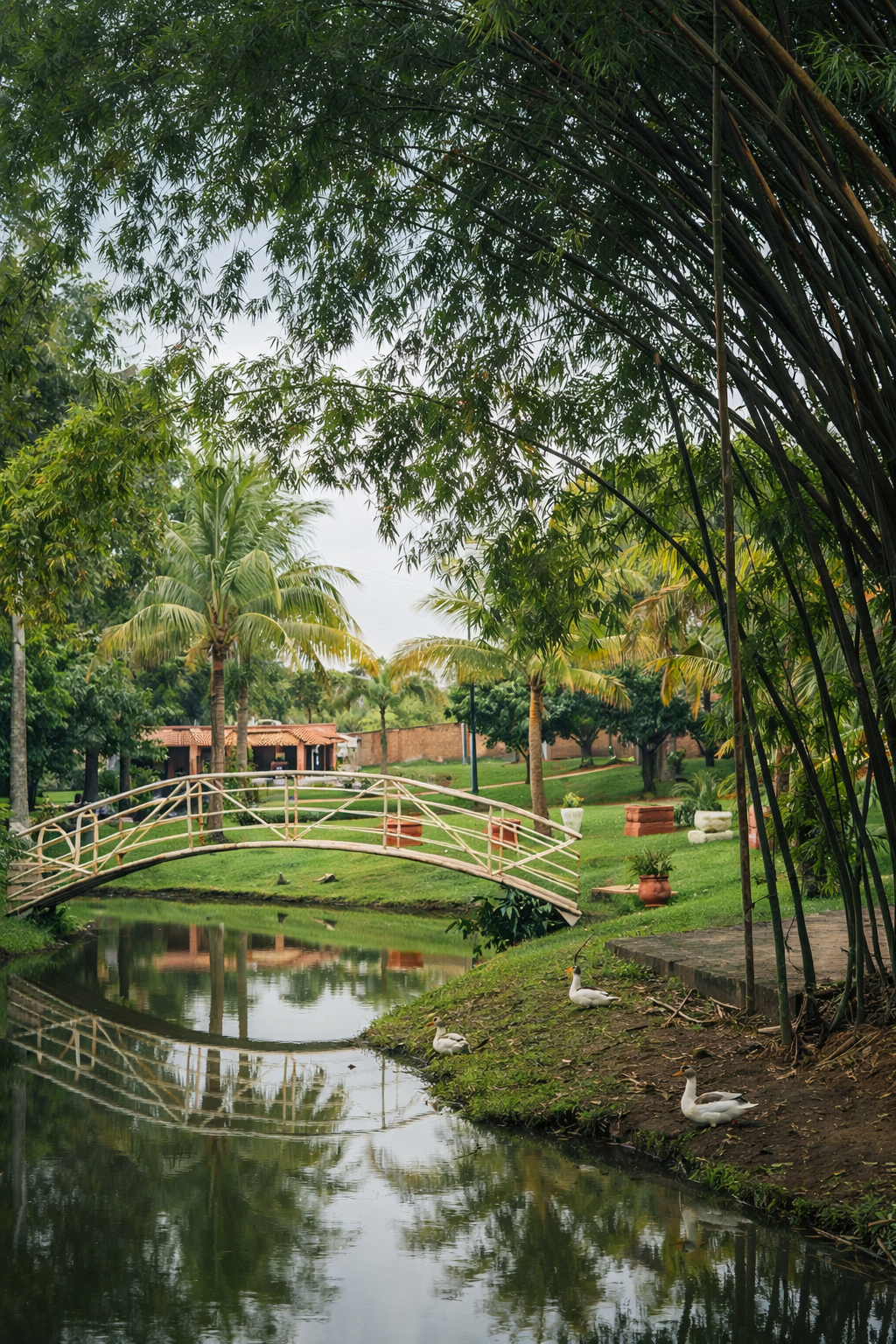 Jardim com ponte, lago e bambuzal — Restaurante Aeroporto