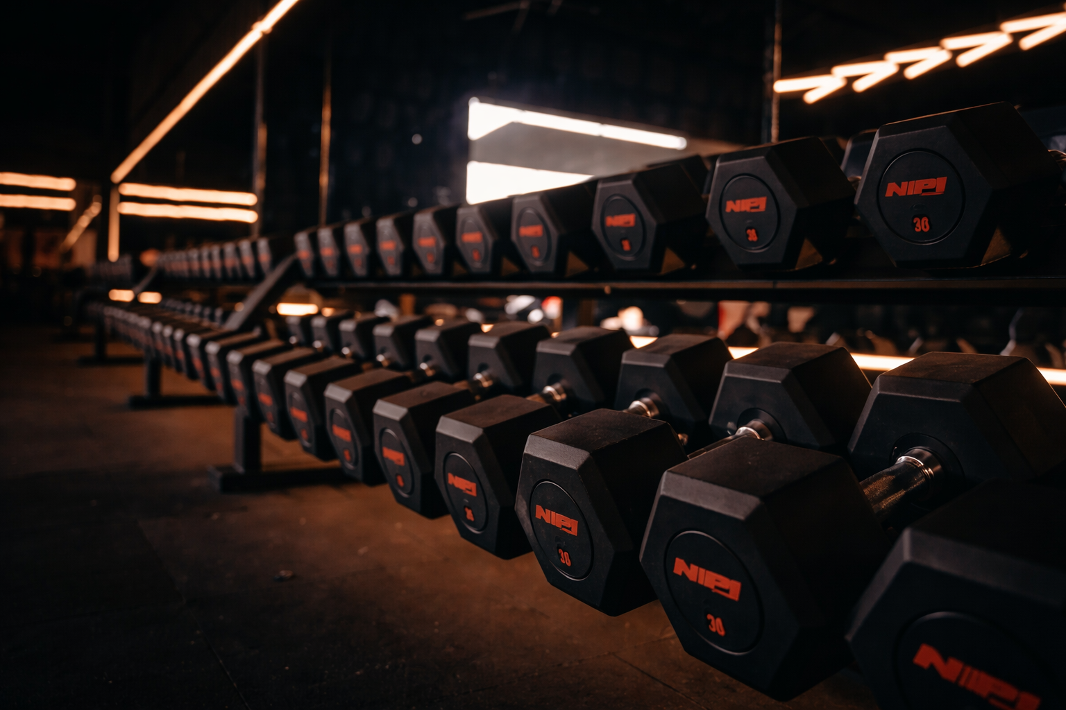 Halteres Cave Gym