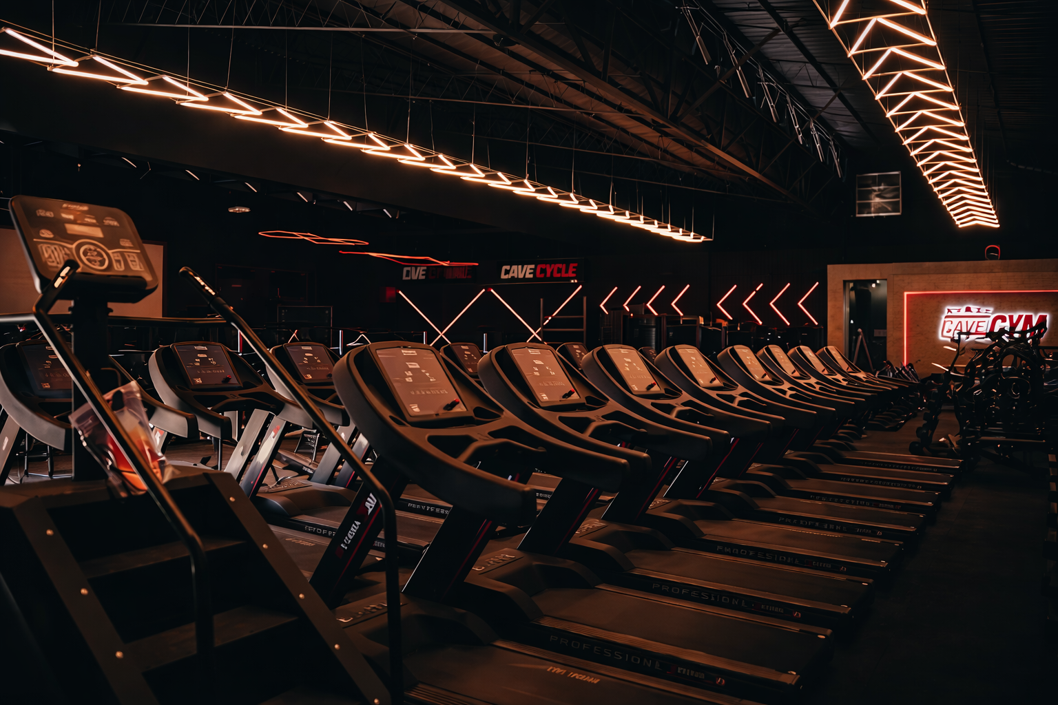 Esteiras Cave Gym