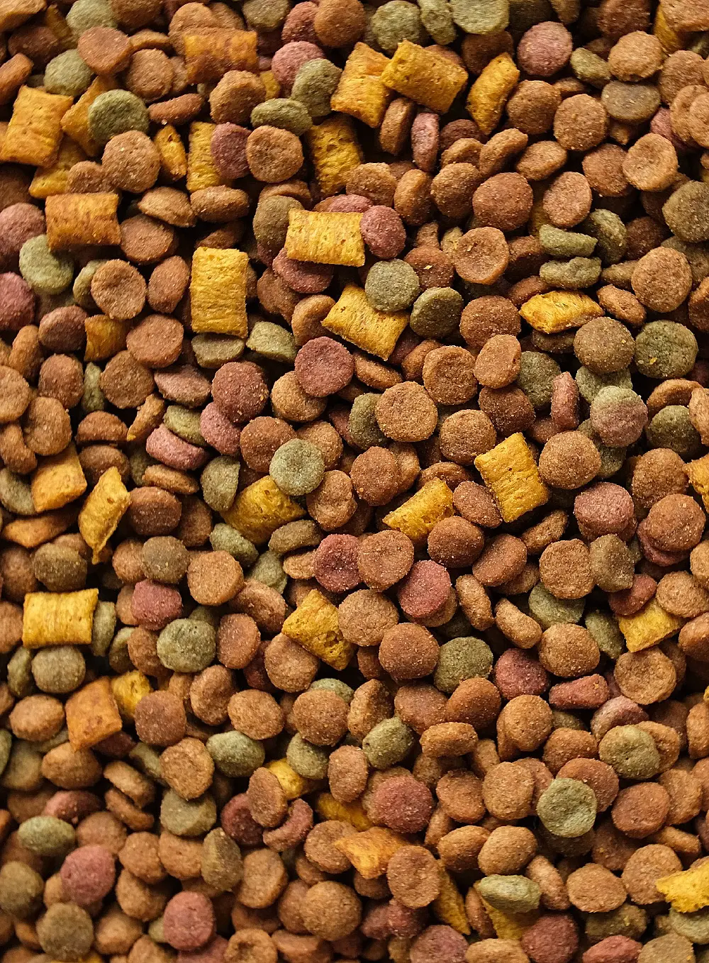 Pet food